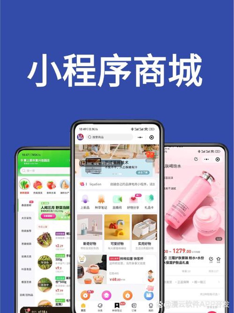 商城网站建设