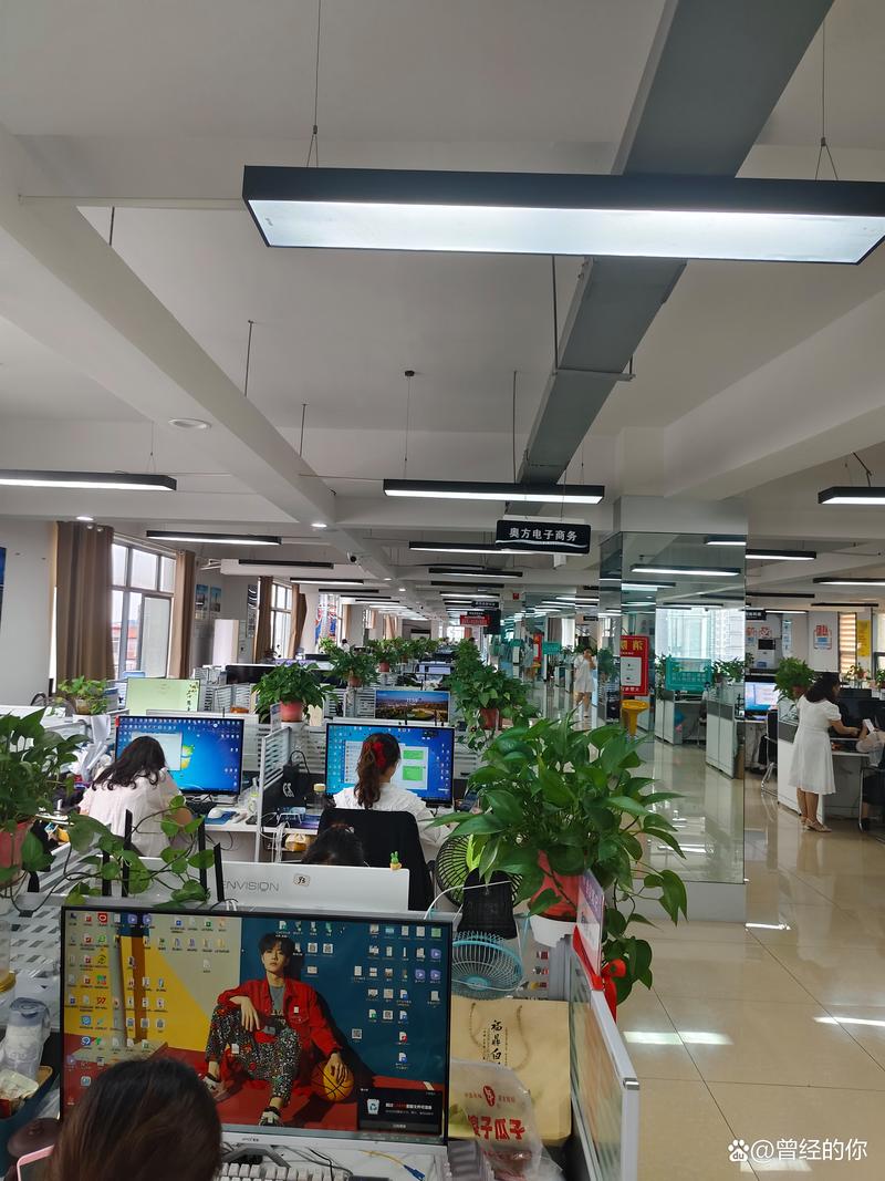电商潮起福建之电商平台开发引领新风向